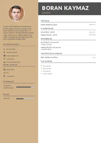 cv indir